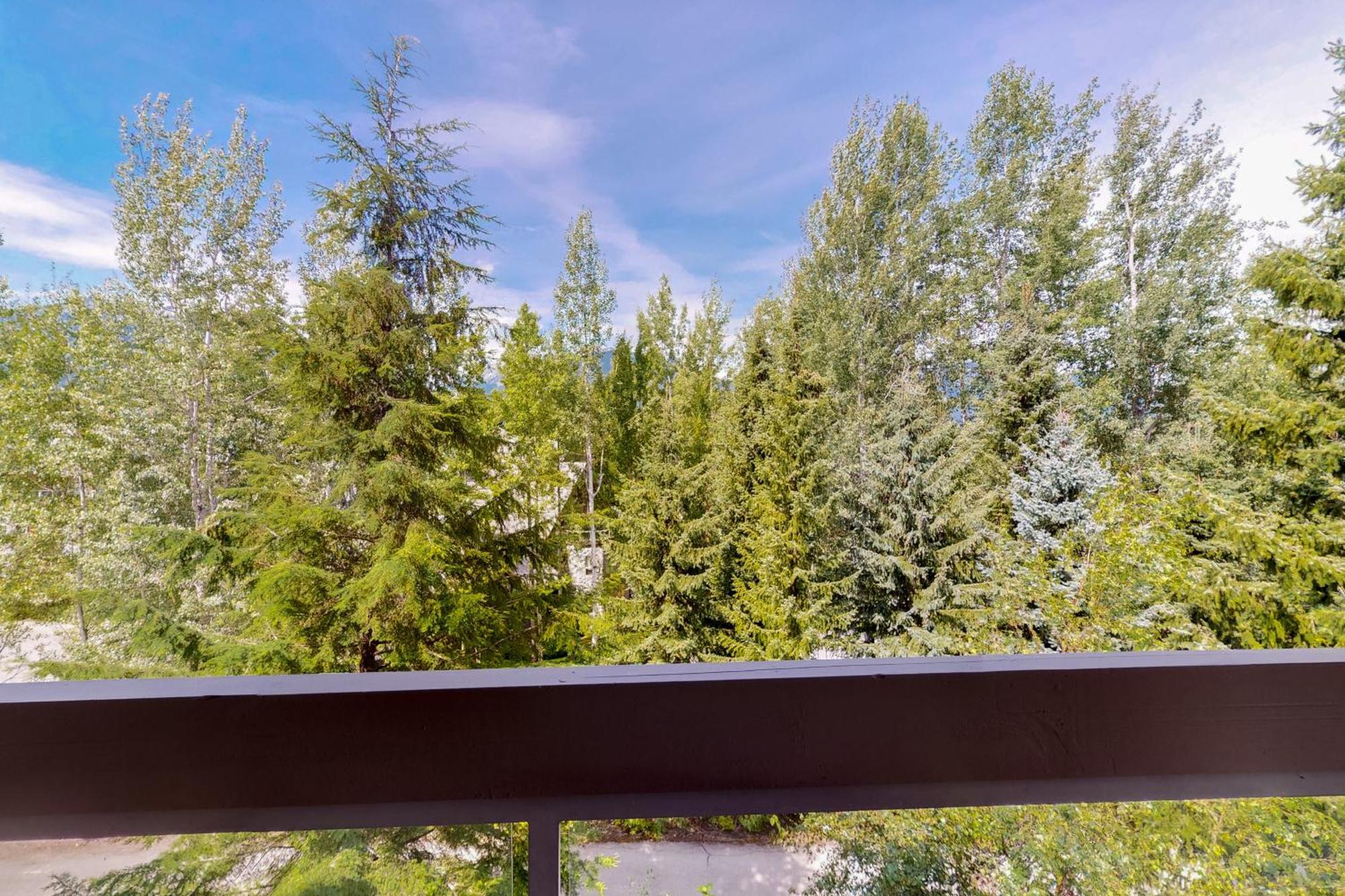 Greystone Lodge ウィスラー 部屋 写真